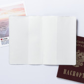 Обложка для паспорта "Енотопаспорт" 4431518