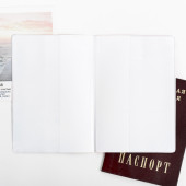 Обложка на паспорт ПВХ "Панда": размер 13,5 х 9,2 х 0,2 см 4331503